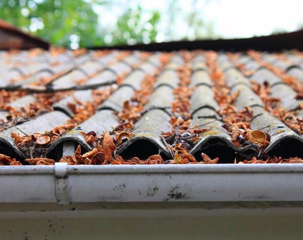 water-drainage-problems How to spot water drainage problems early